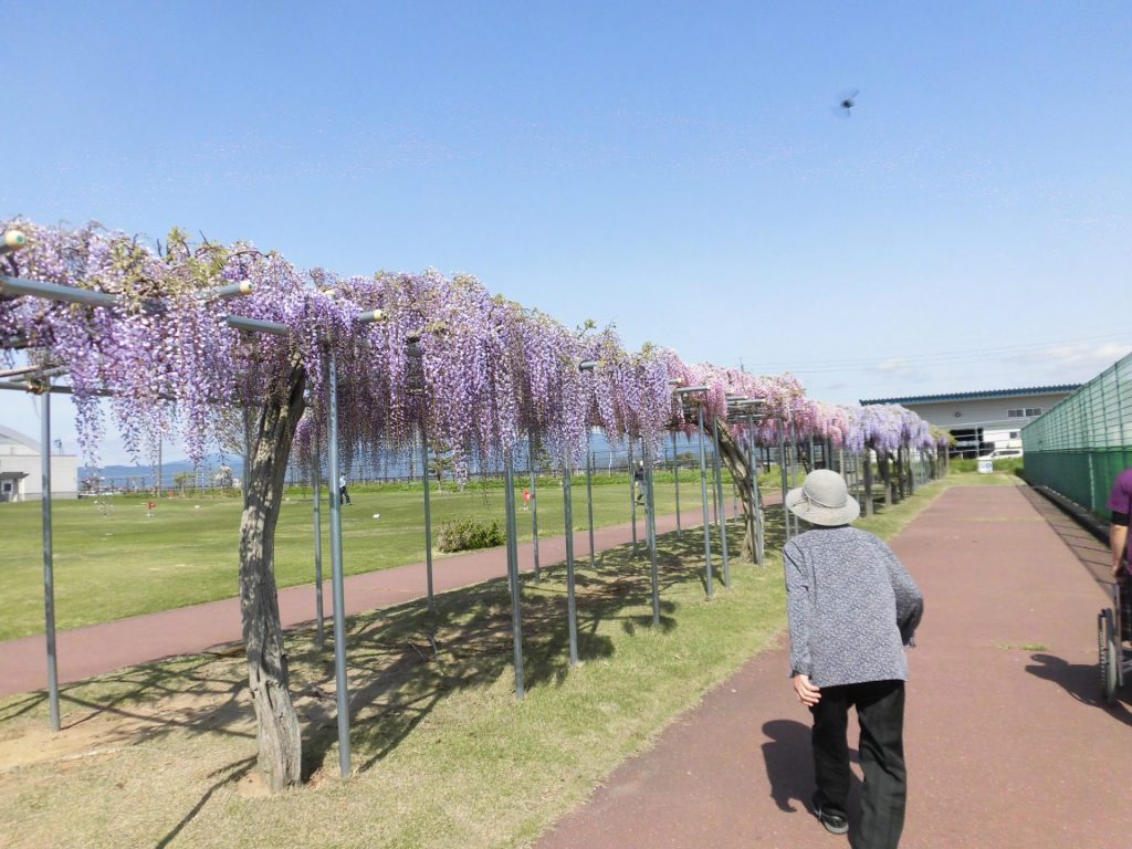 5月の出来事 | 山形県三川町 グループホーム デイサービスを運営 和のどか